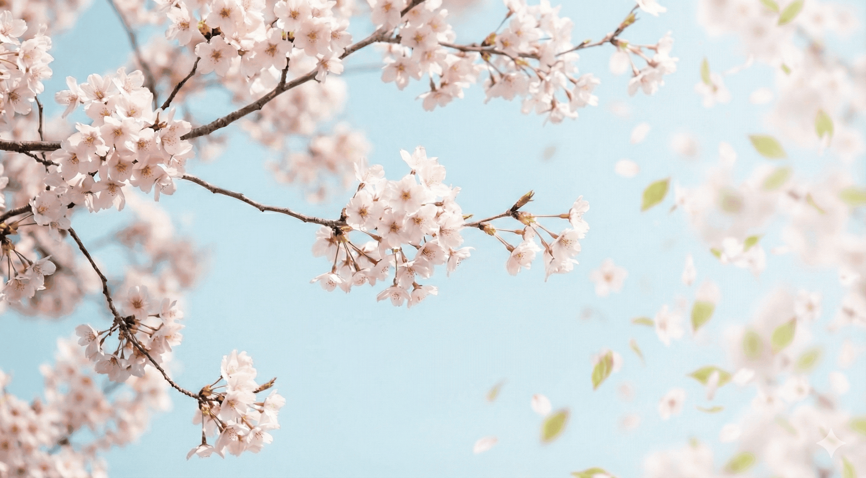 Organise beautifully